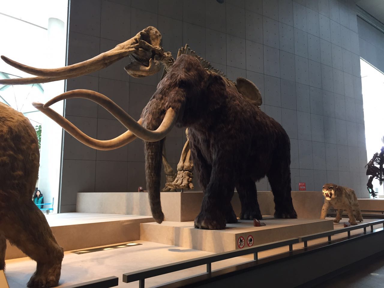 城市雕塑公共藝術(shù)需要規劃